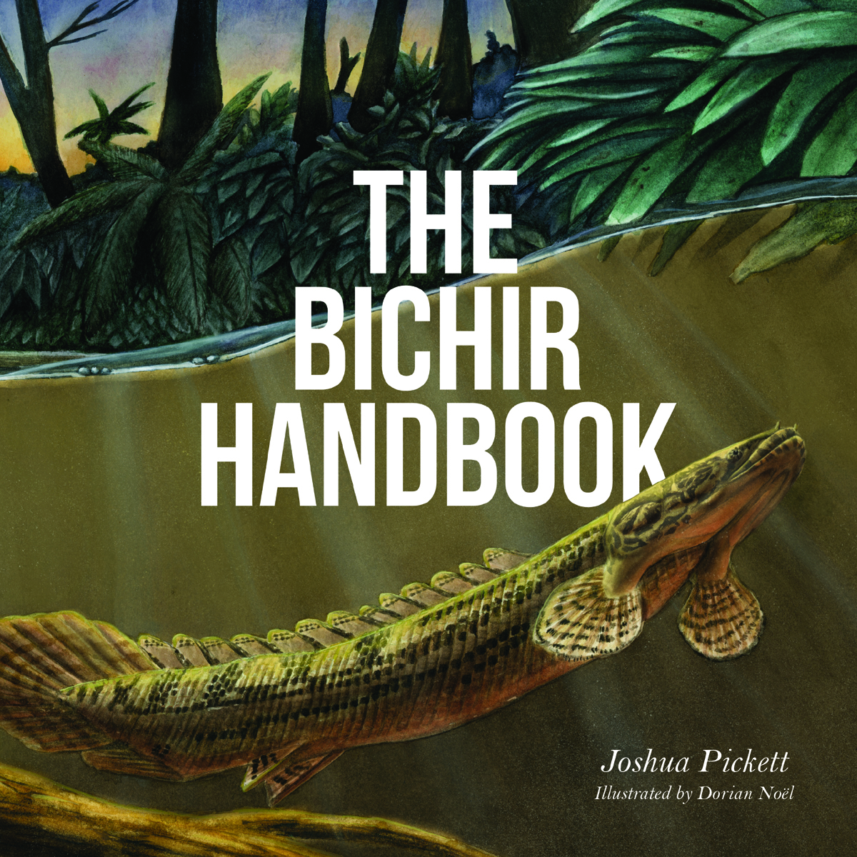 The bichir handbook [폴립테루스 핸드북]