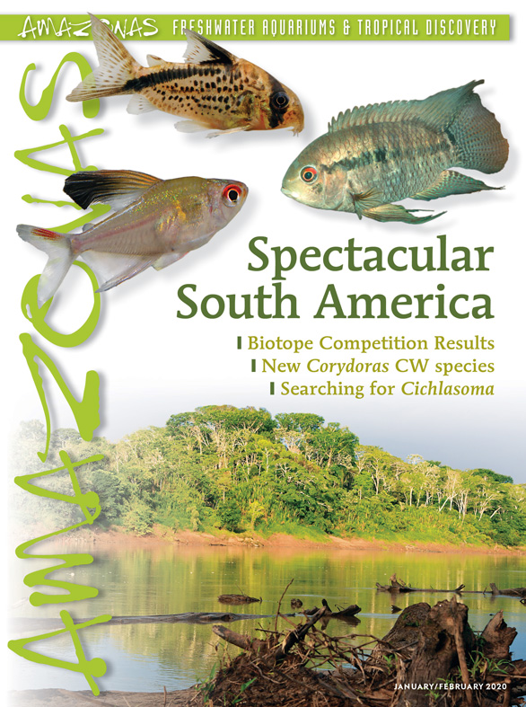 Amazonas Vol 9.1 2020: Spectacular South America