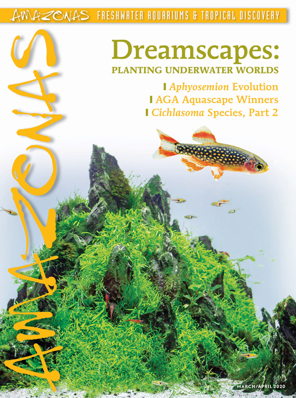 Amazonas Vol 9.2 2020: Dreamscapes: Planting Underwater Worlds