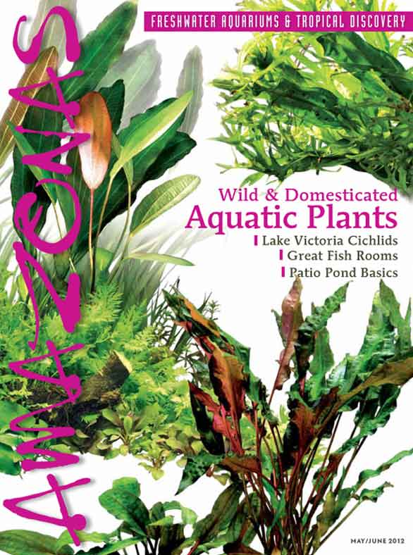 Amazonas Vol 1.3 2012: Wild &amp; Domesticated Aquatic Plants