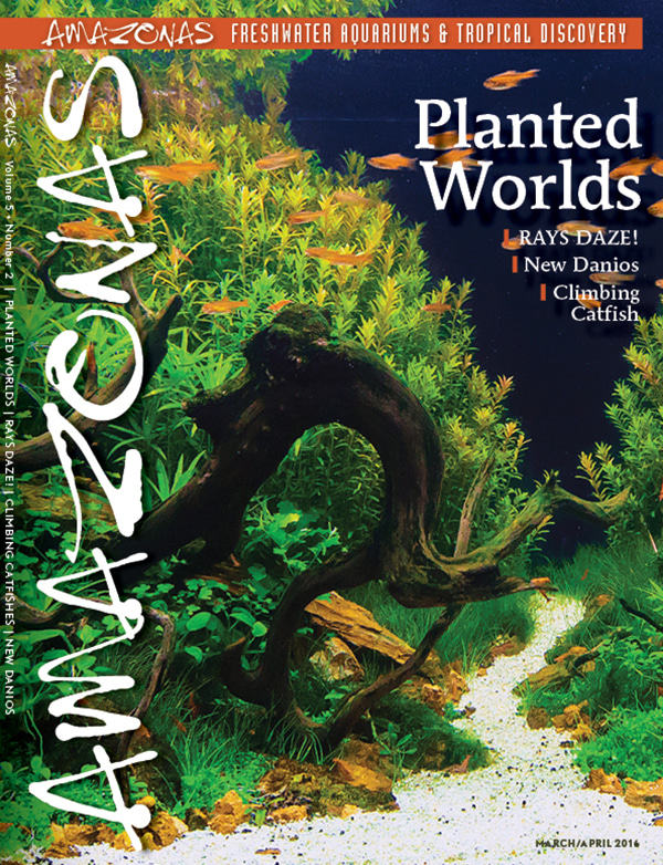 Amazonas Vol 5.2 2016: Planted Worlds