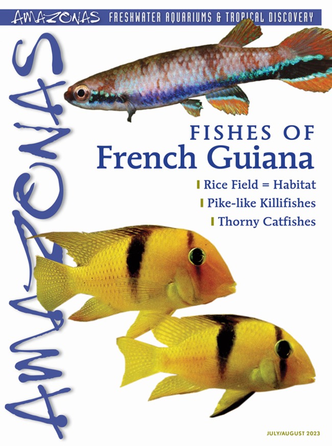 Amazonas Vol 12.4 2023: Fishes of French Guiana
