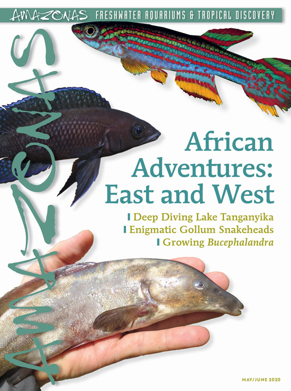 Amazonas Vol 9.3 2020: African Adventures: East and West
