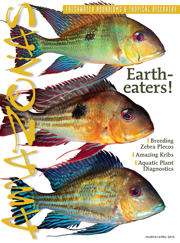 Vol 4.2 2015: Eartheaters