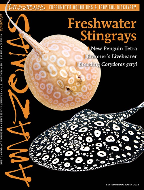 Amazonas Vol 12.5: Freshwater Stingrays